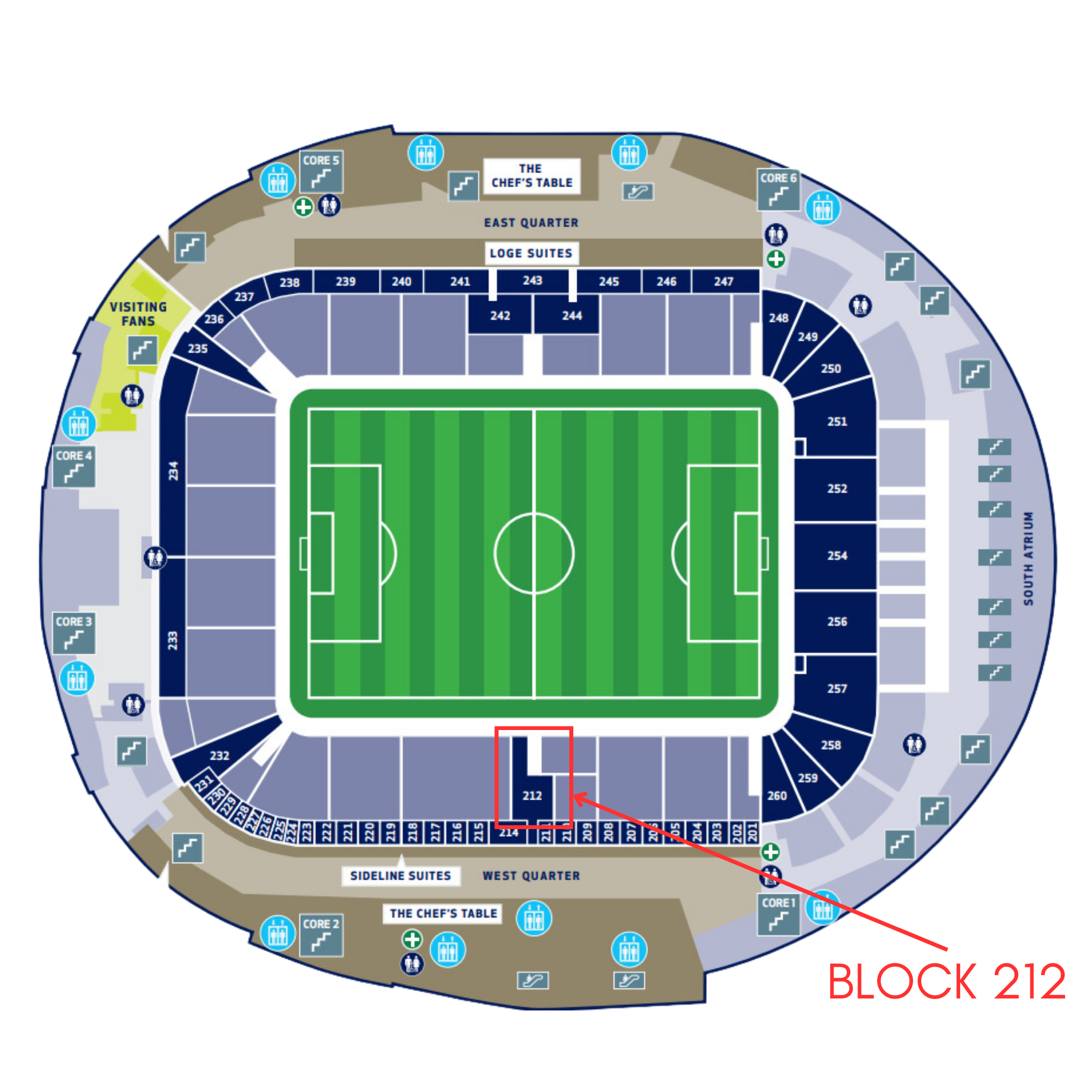 European Rugby Cup Final Club Journeyman